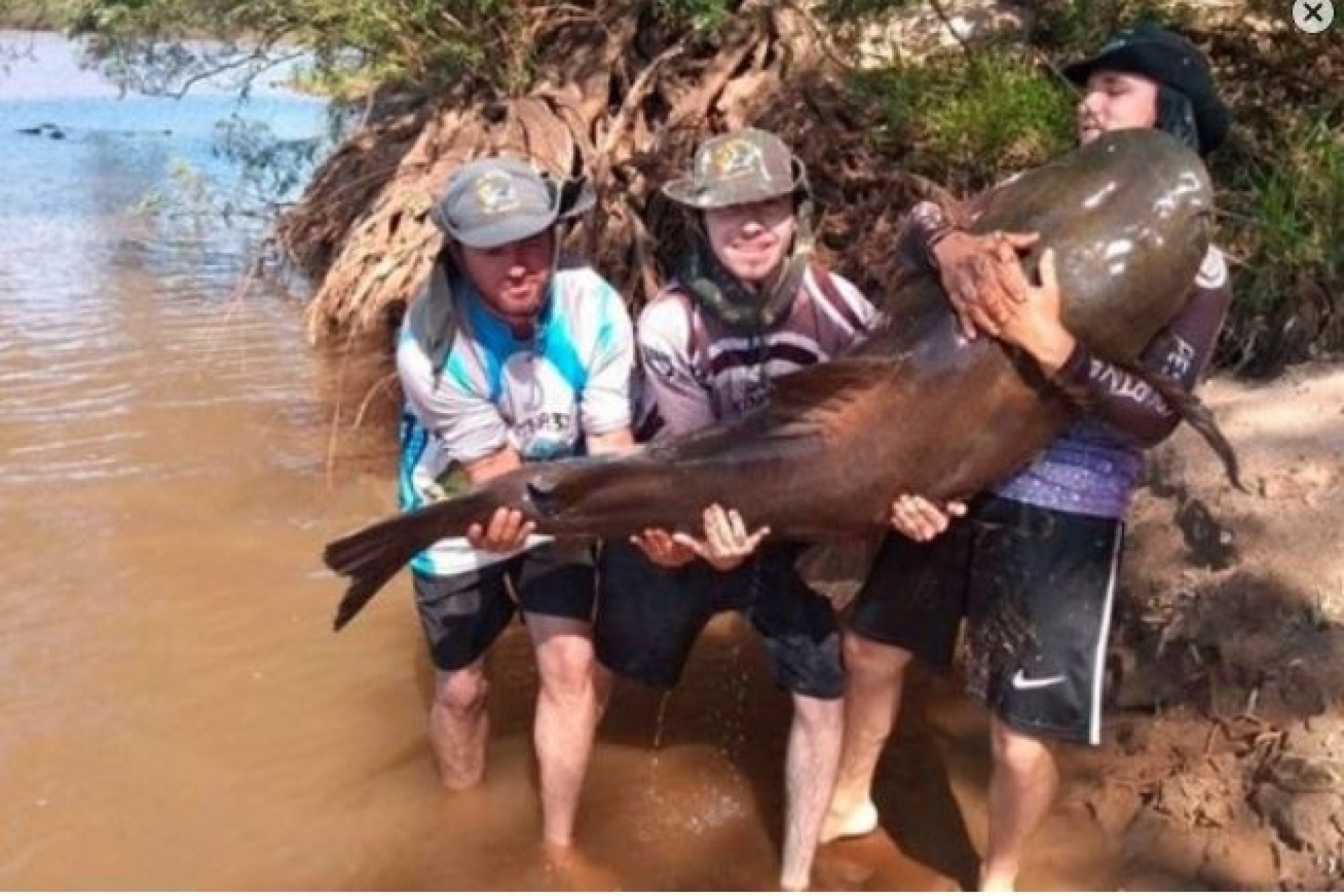 Pescador pega jaú de 83 quilos no Rio Ivaí e devolve o peixe ao rio após foto
