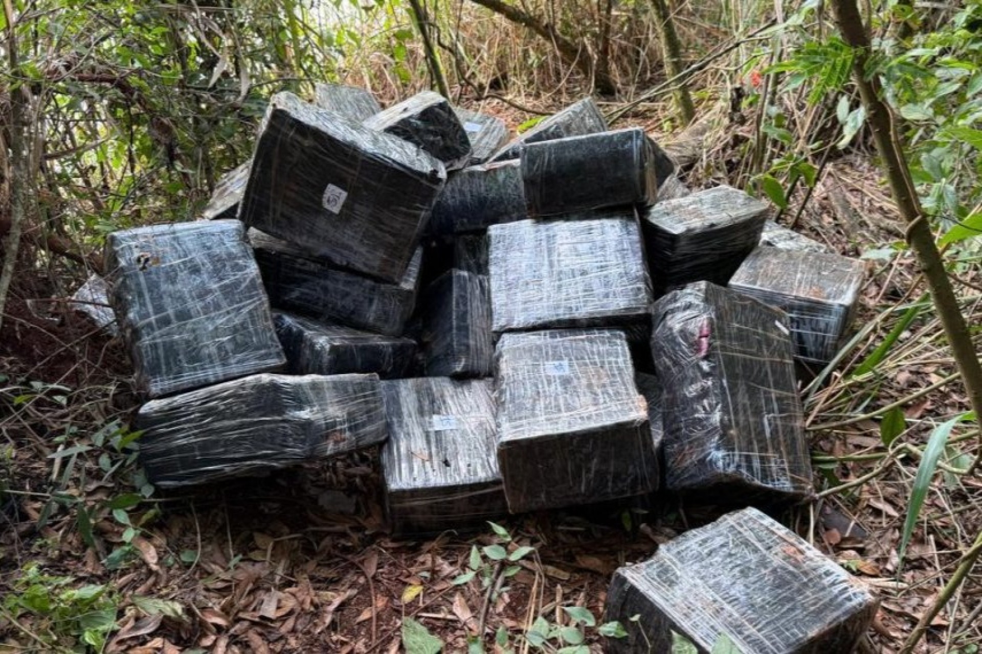 PF e PM apreendem quase 1 tonalada de maconha em Itaipulândia