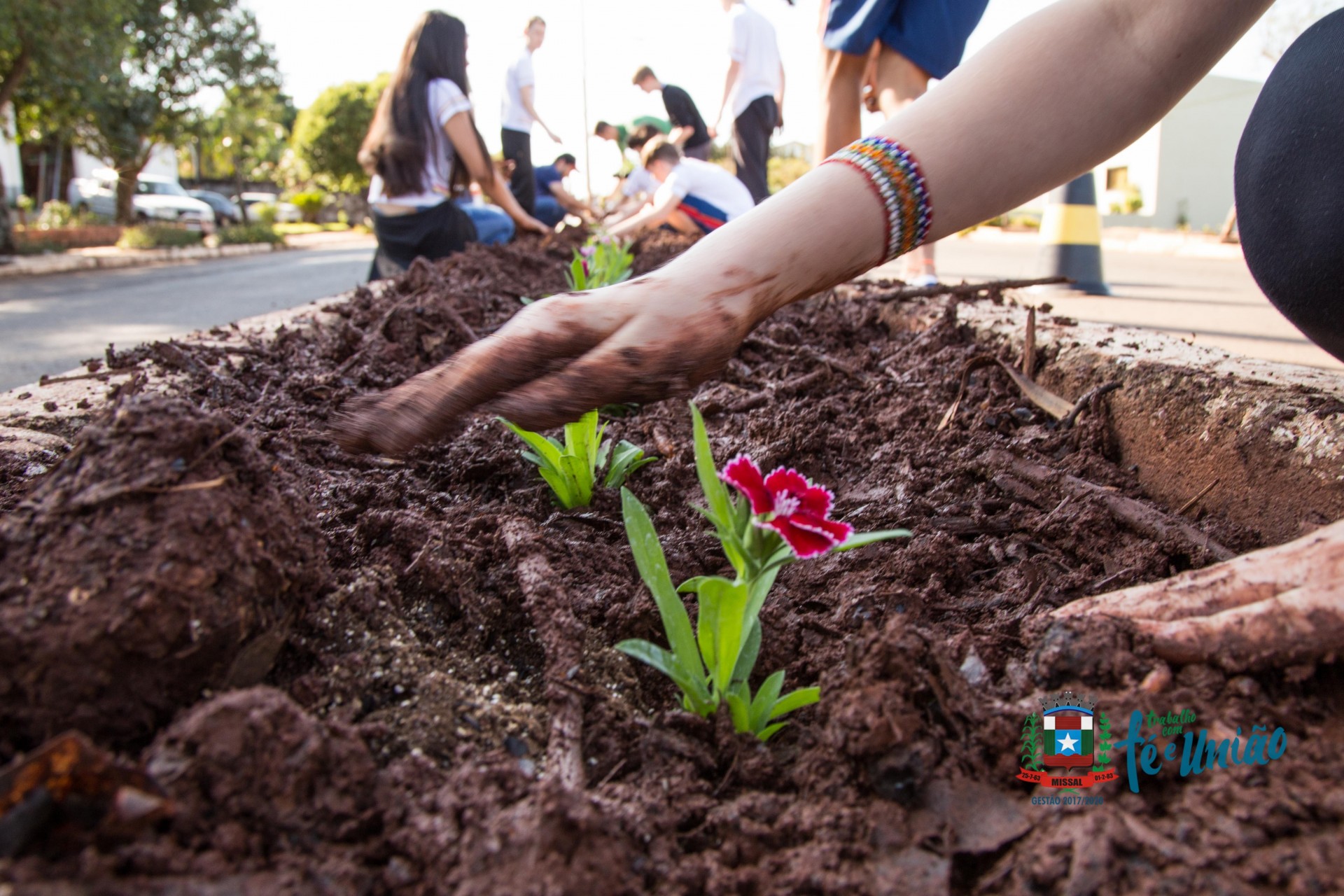 Plantio de flores e distribuição de mudas de árvores nativas marcam o dia  da árvore em Missal