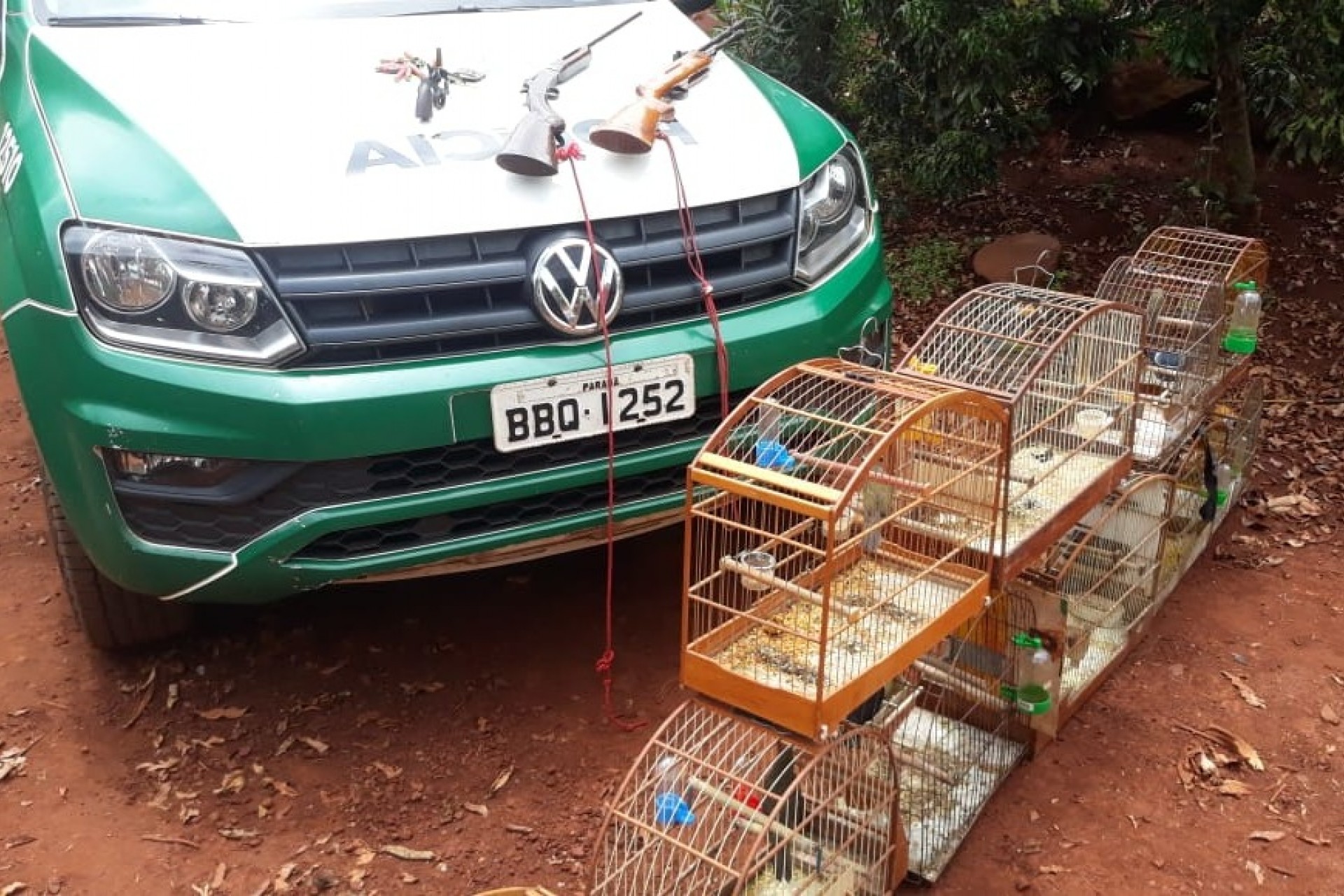 Polícia Ambiental apreende pássaros silvestres e armas