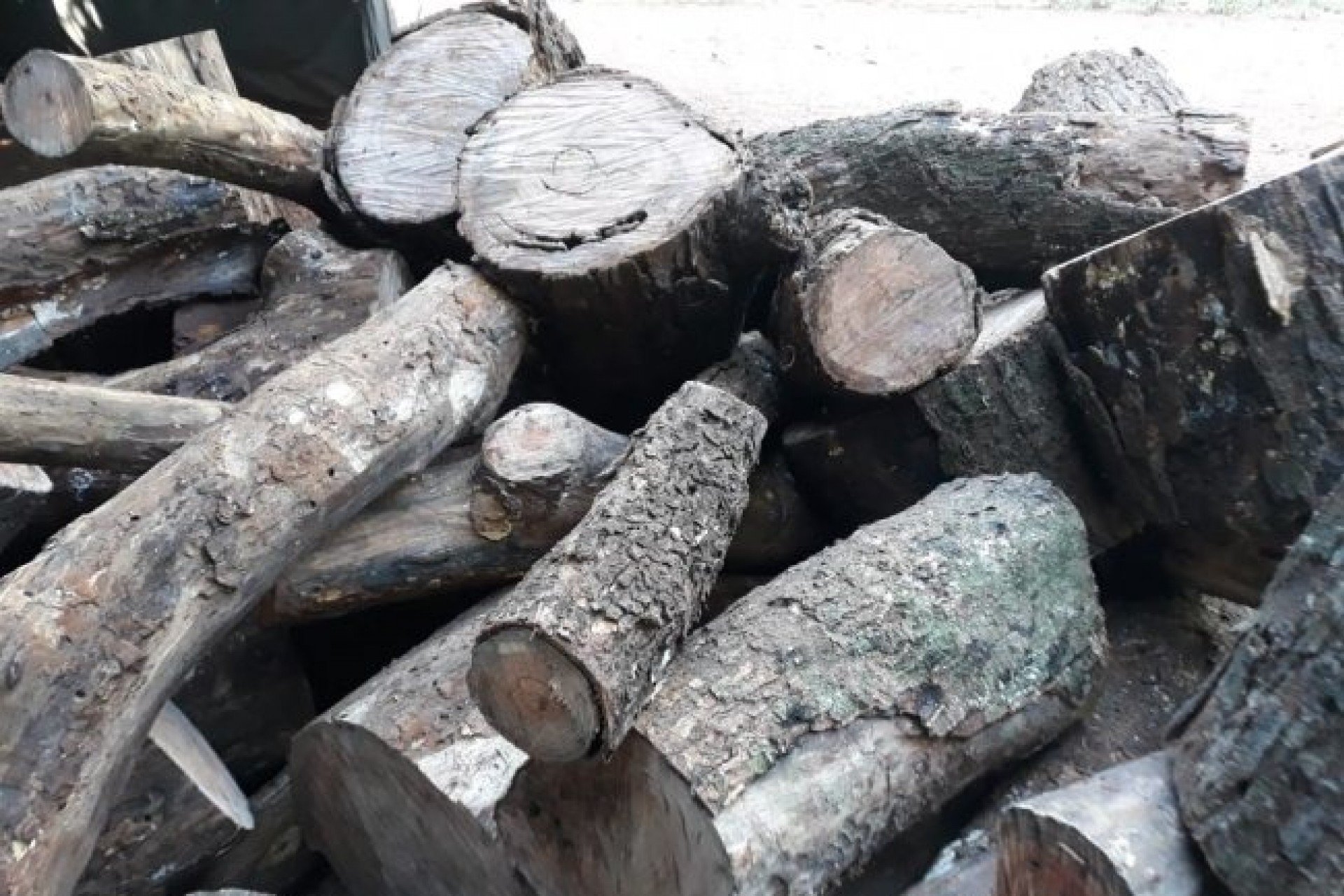 Polícia Ambiental encontra depósito ilegal de madeira e detém uma pessoa em Santa Helena