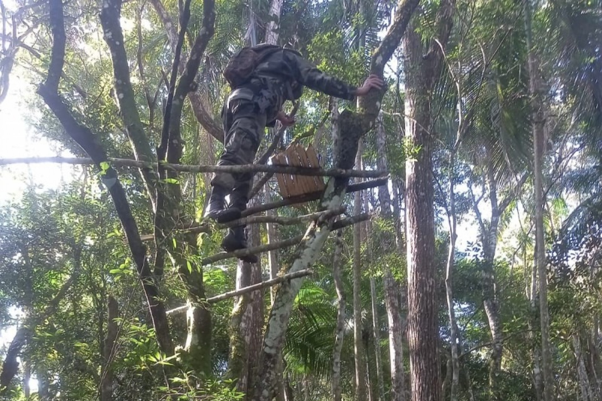 Polícia Ambiental localiza acampamento e quatro locais de caça em São Miguel do Iguaçu