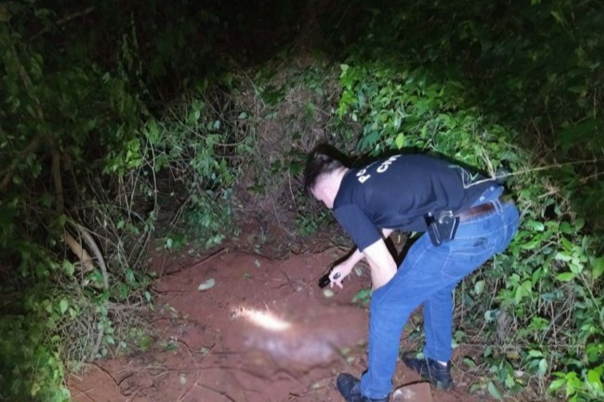 Polícia Civil localiza cadáver humano e sacos de ossos no interior de Santa Helena