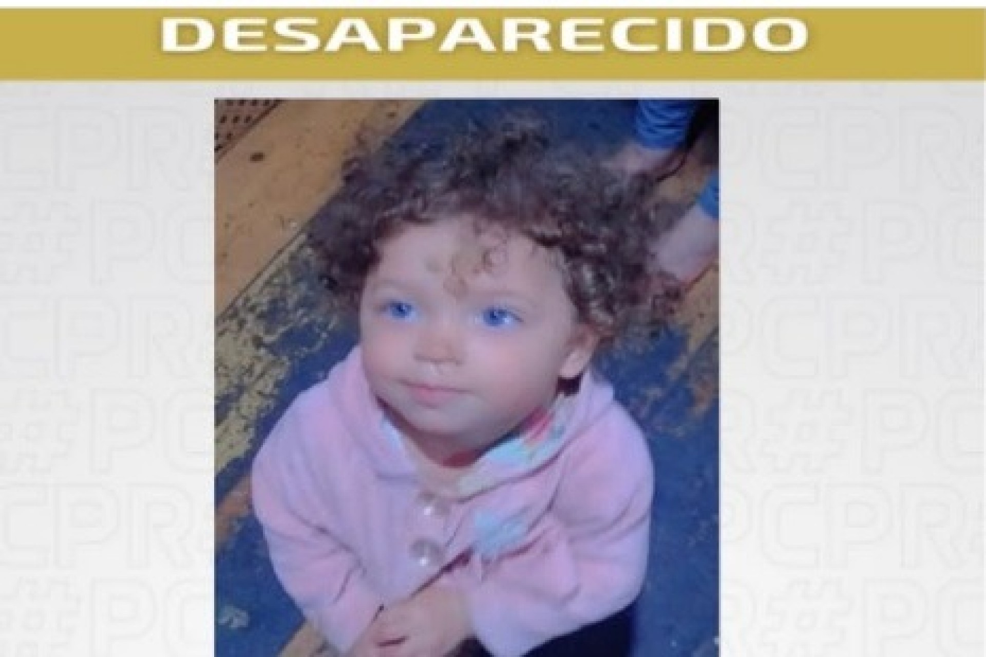 Polícia divulga imagem de Eloah Pietra Almeida dos Santos, raptada em Curitiba