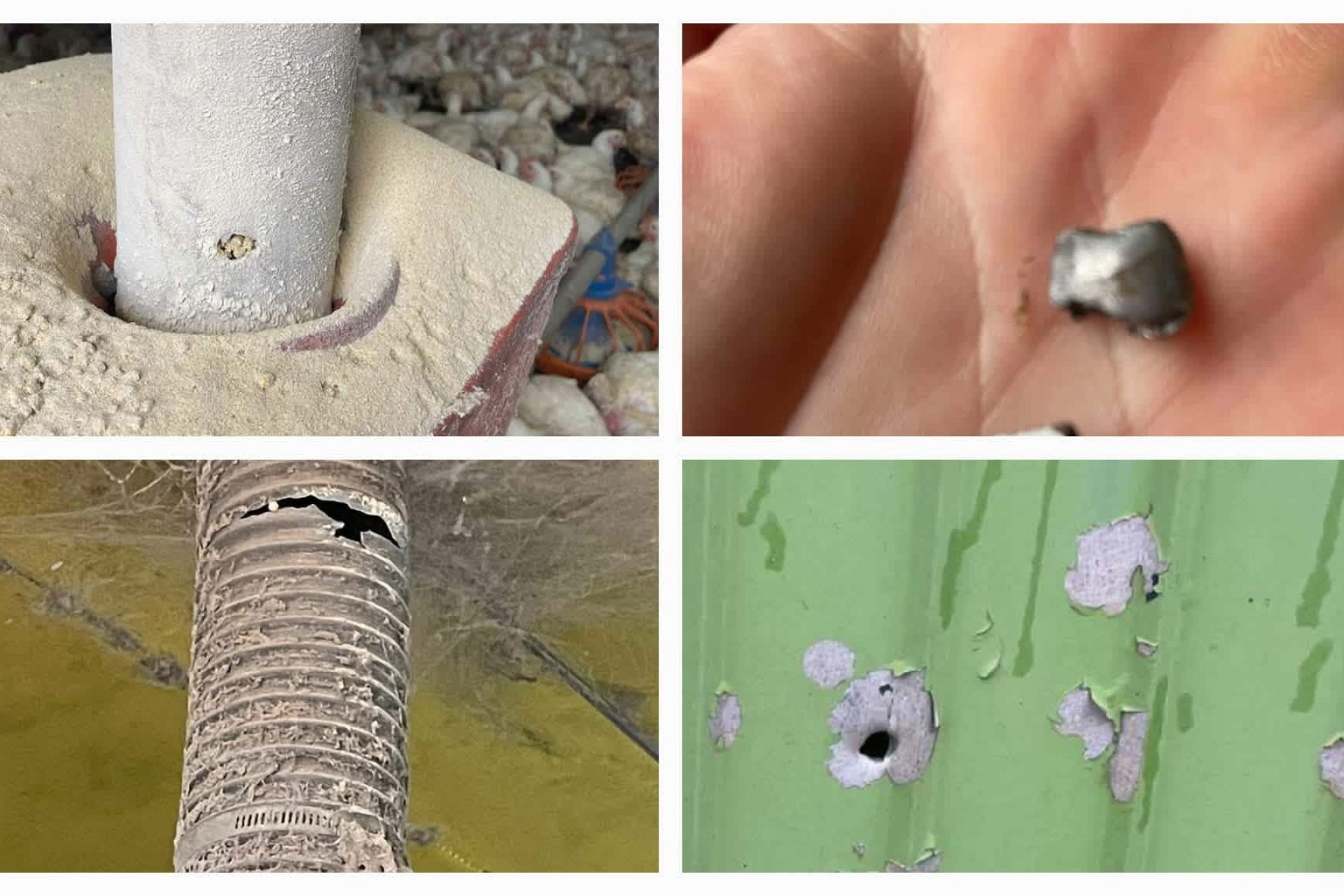 Propriedade rural é atingida por tiros no interior de Missal