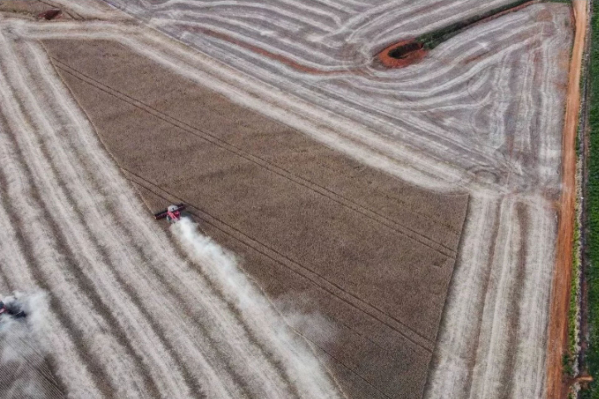 Safra de grãos 21/22 no Paraná pode chegar a 36,9 milhões de toneladas