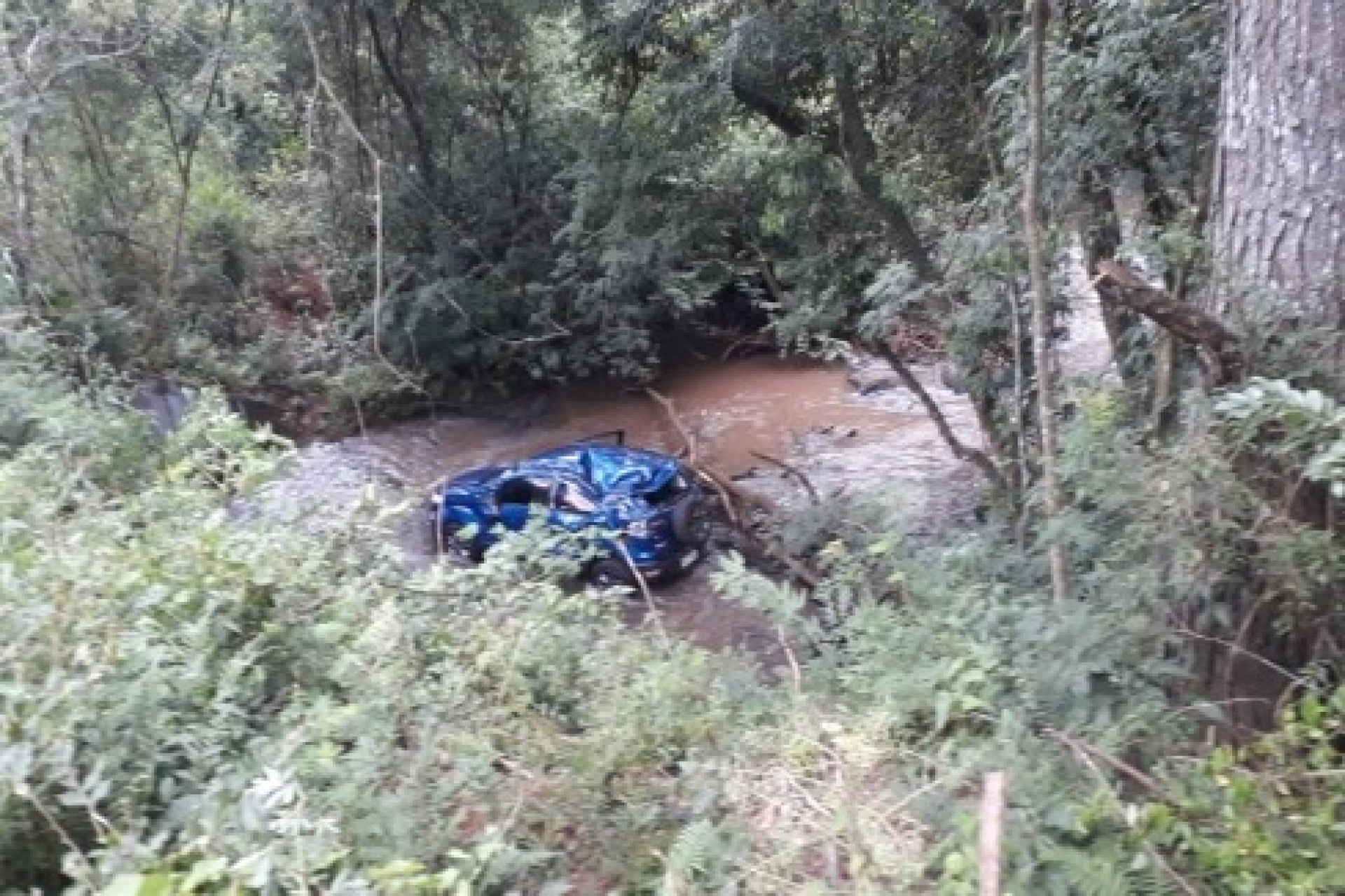 Santa-helenenses sofrem acidente durante a noite e ficam perdidos em mata próximo a Toledo