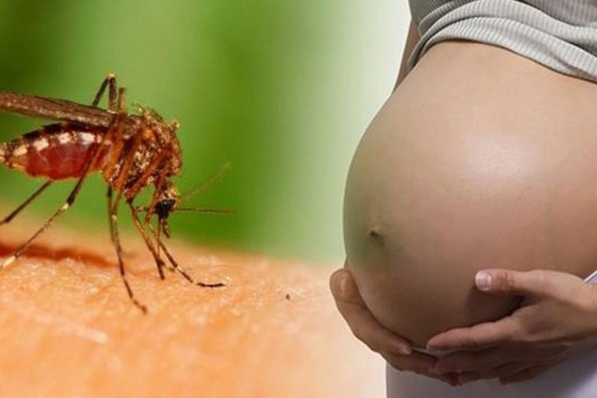 Saúde de São Miguel monitora caso suspeito de Zika Vírus no município