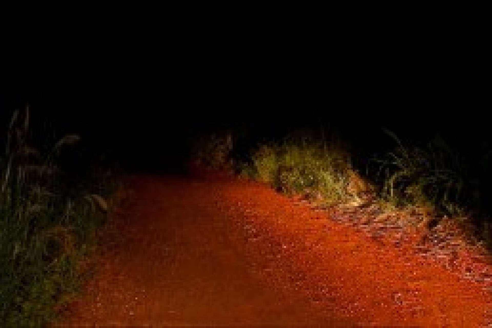 Serranópolis: Homem é encontrado morto em estrada rural