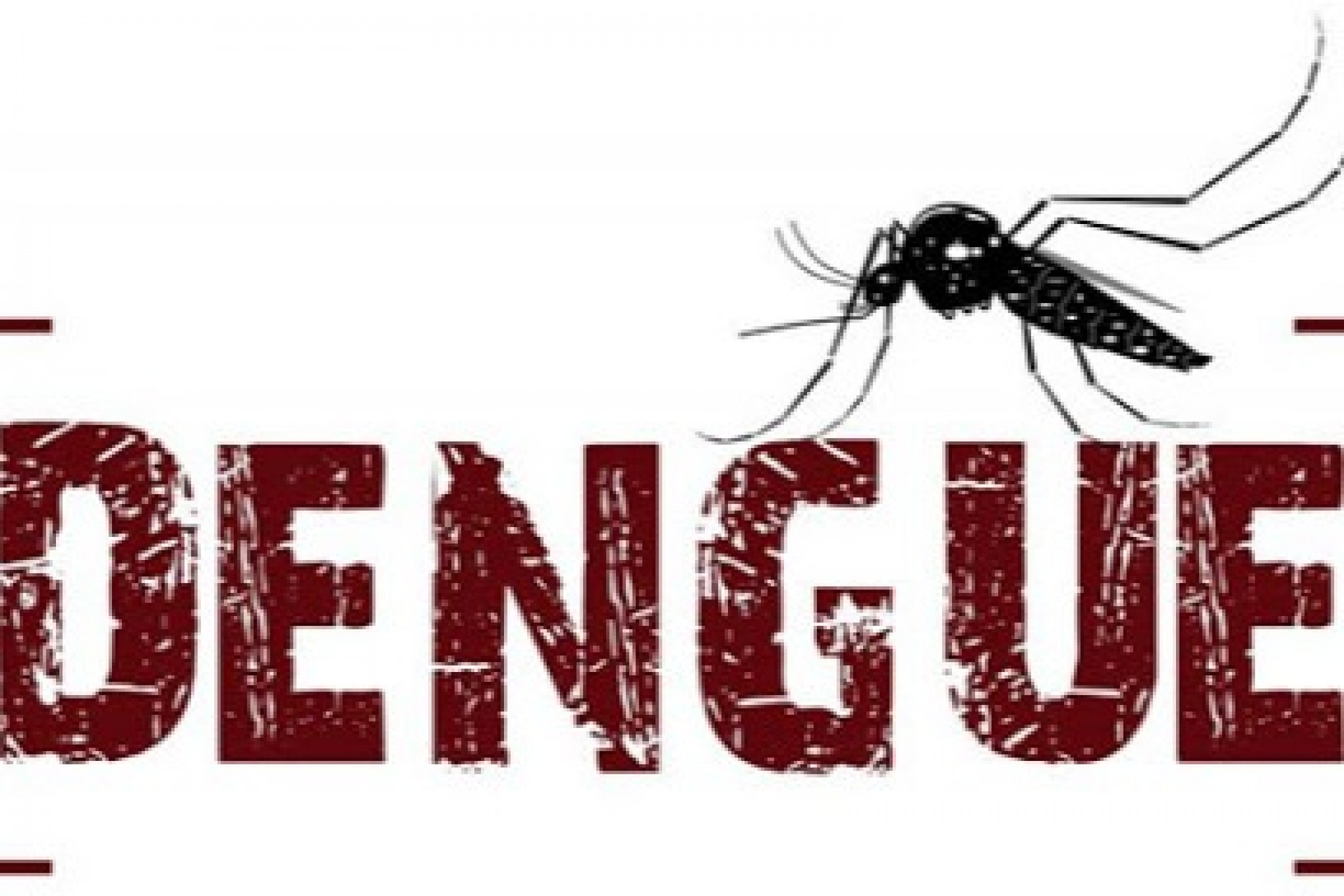 Setor de Endemias de Missal comemora 50 dias sem novos casos de dengue