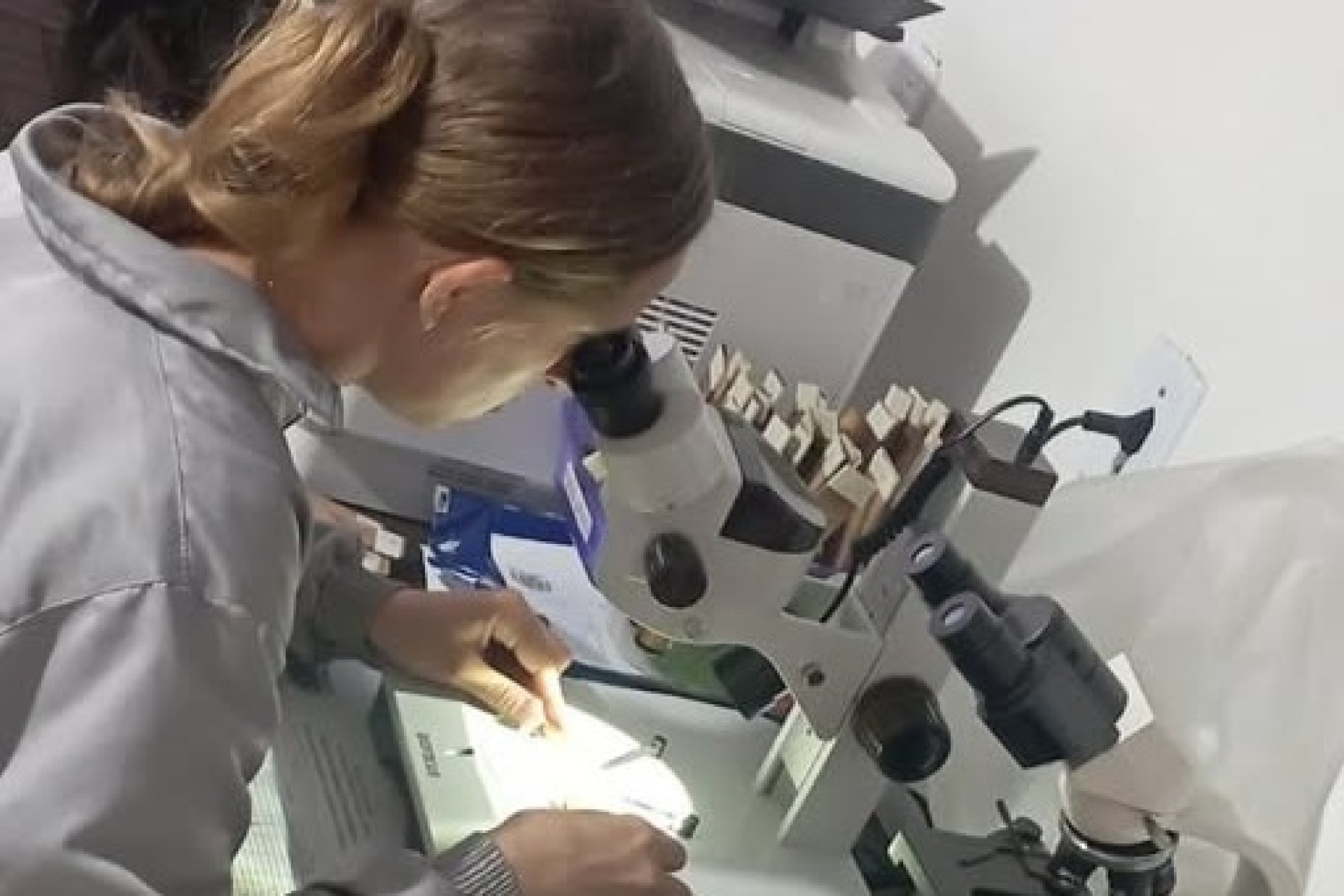 Setor de Endemias de Missal registra aumento do Índice de Infestação do Aedes aegypti