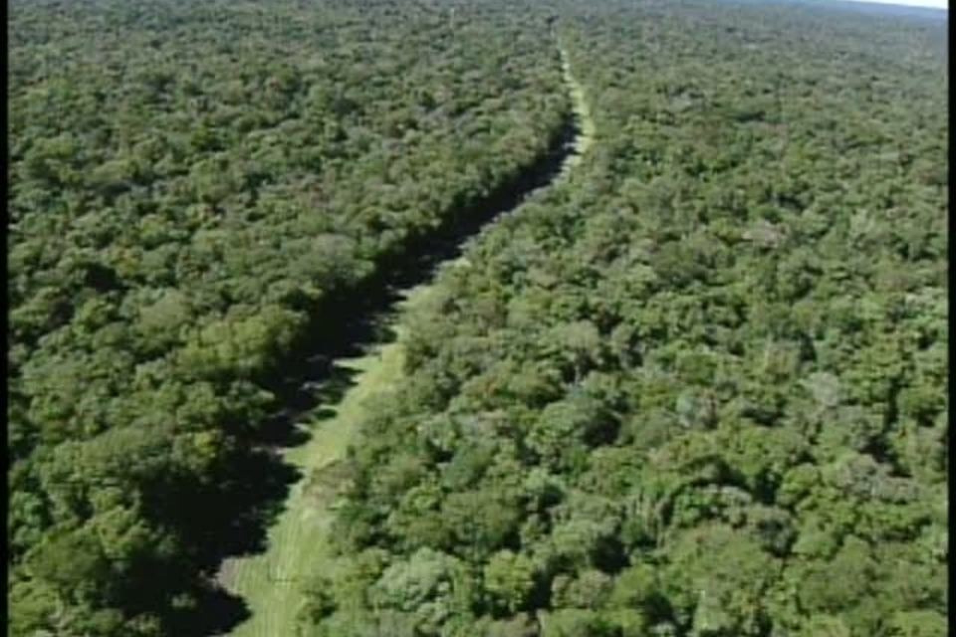 STF nega reabertura da Estrada do Colono