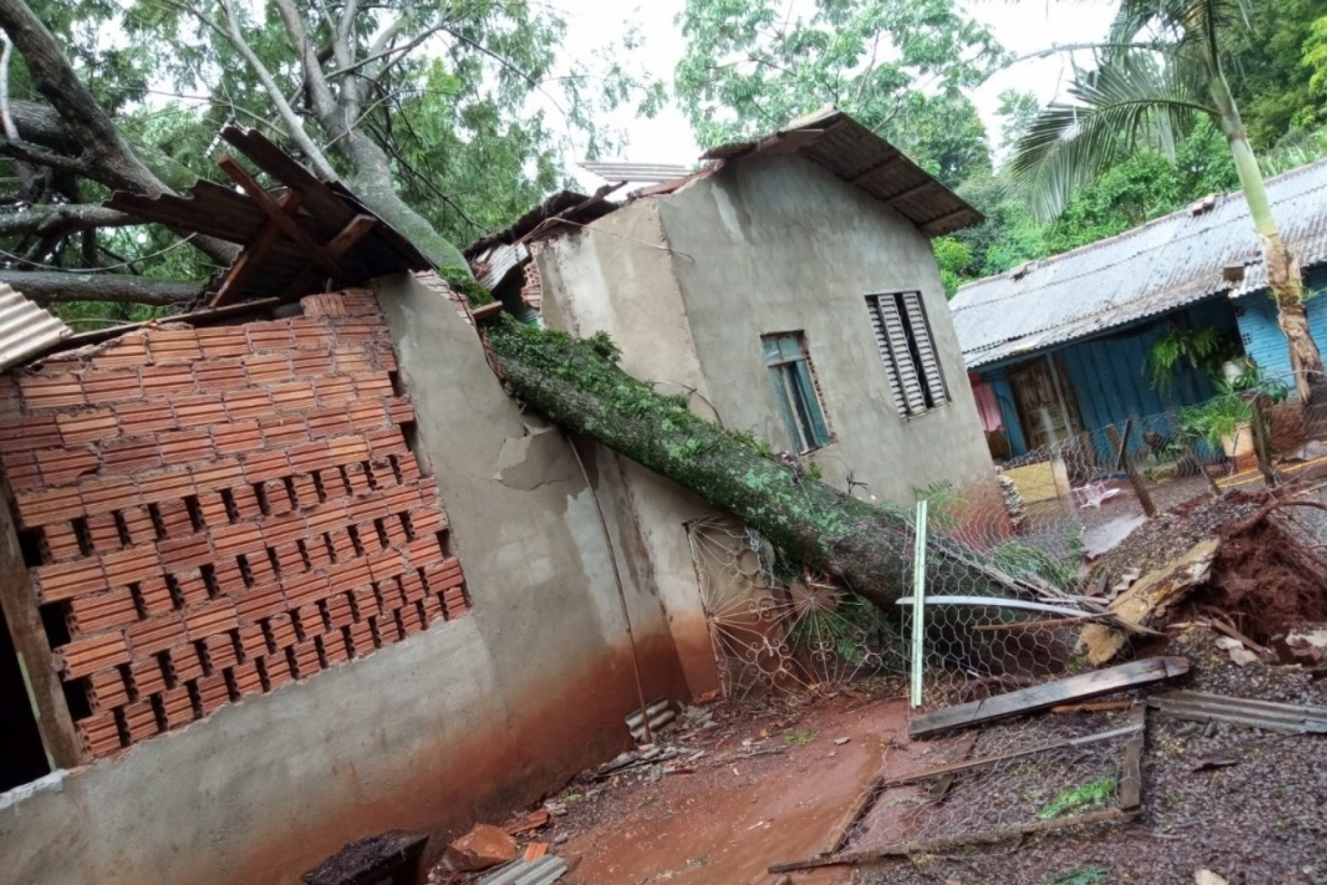 Temporal causa queda de árvores e destelhamentos em São Miguel do Iguaçu