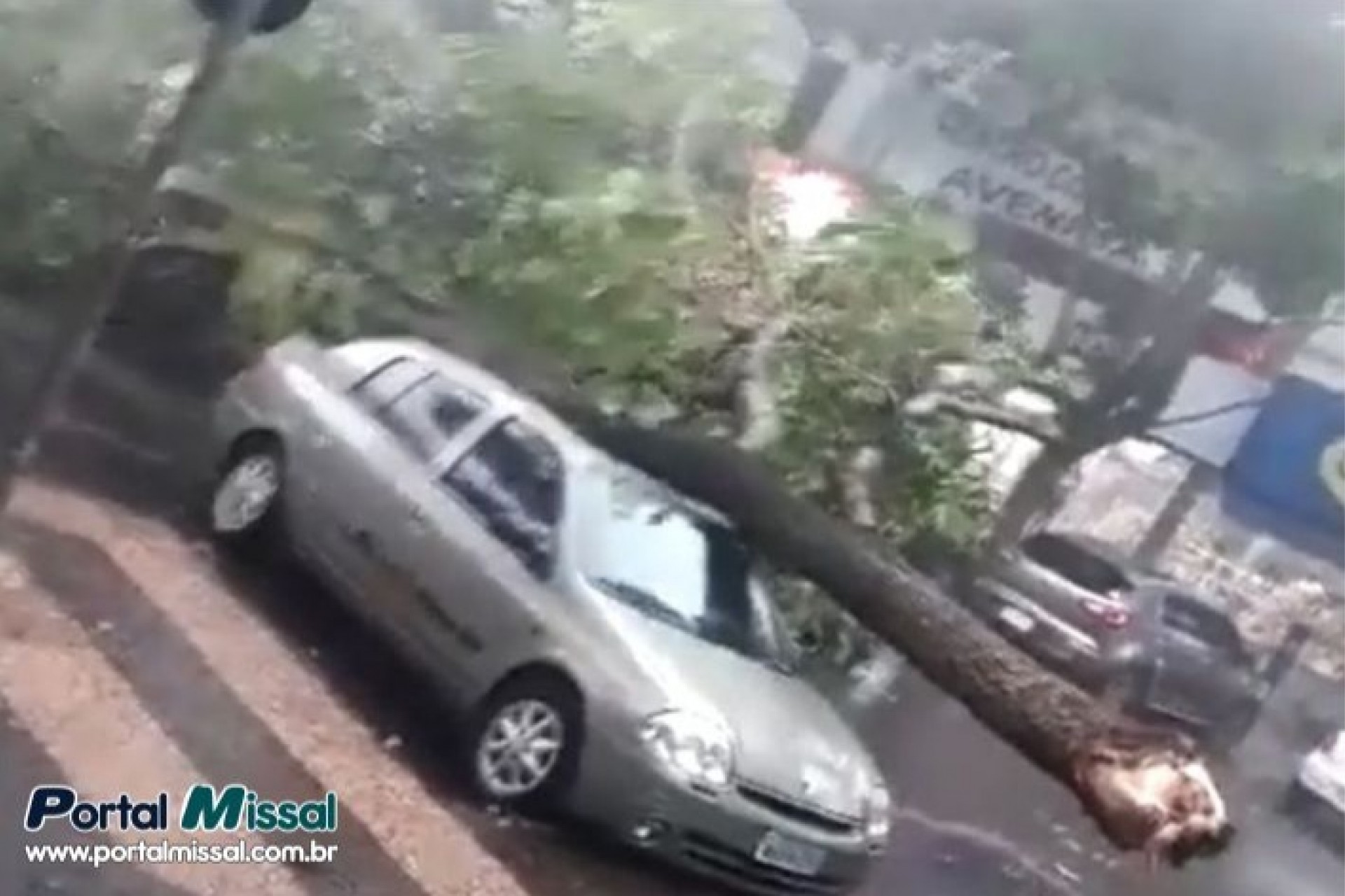 Temporal derruba árvores e causa estragos em Foz do Iguaçu