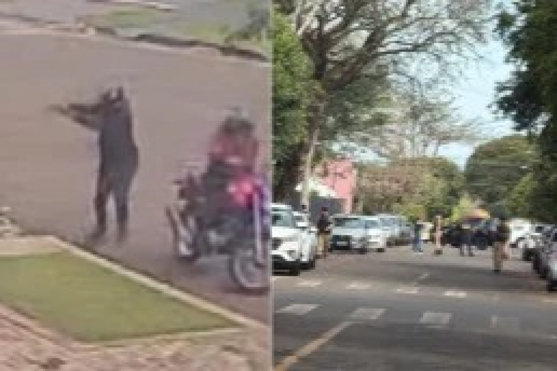 Tentativa de homicídio no centro de Medianeira assusta moradores