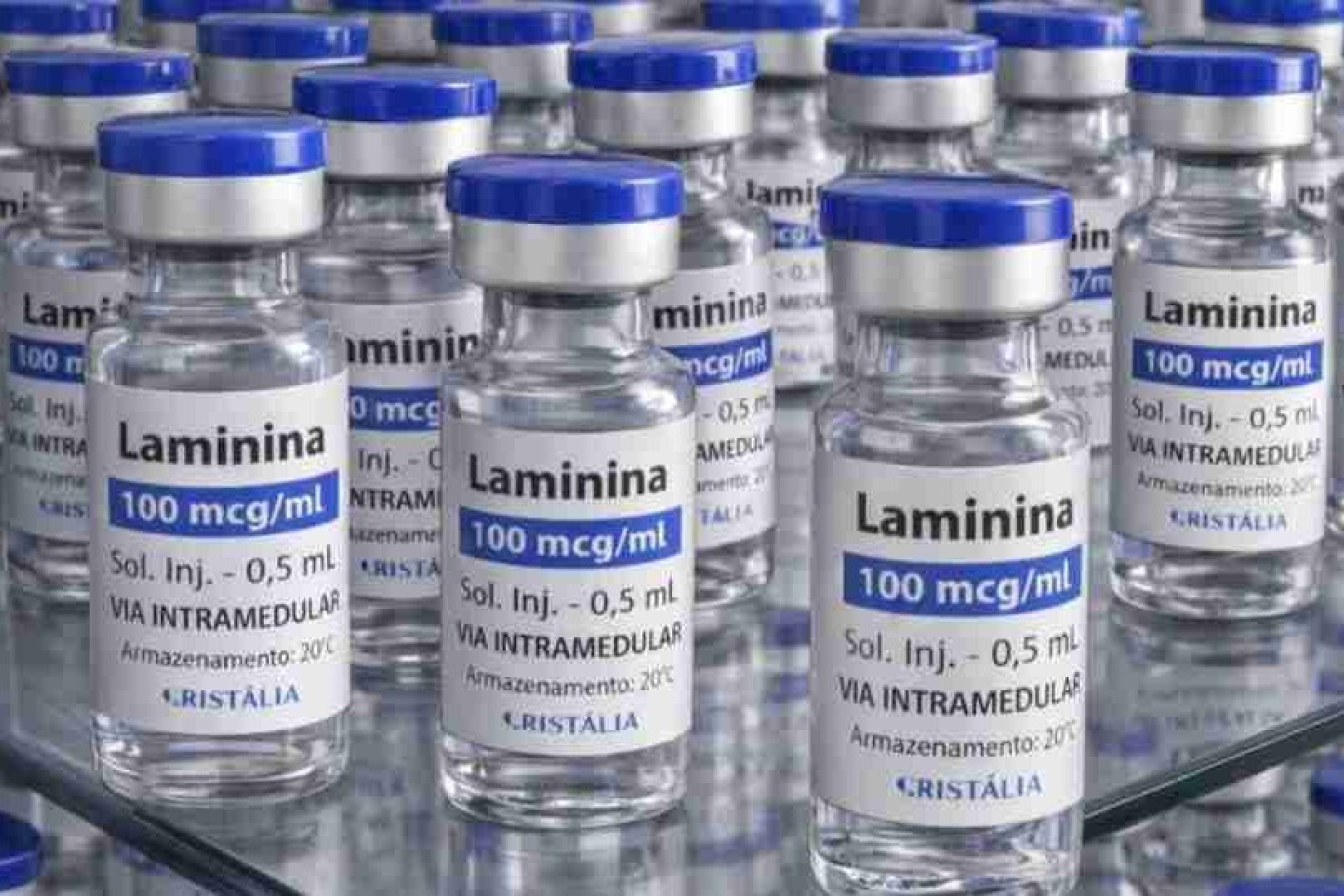 Testes clínicos fase 1 da polilaminina começam este mês