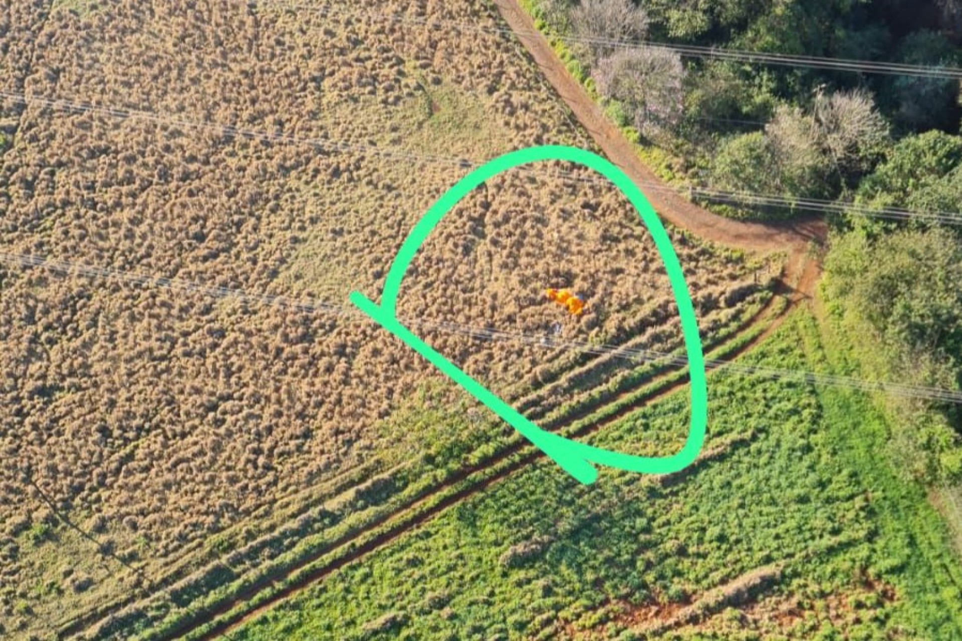 Tragédia: empresário morre em acidente de parapente em Missal