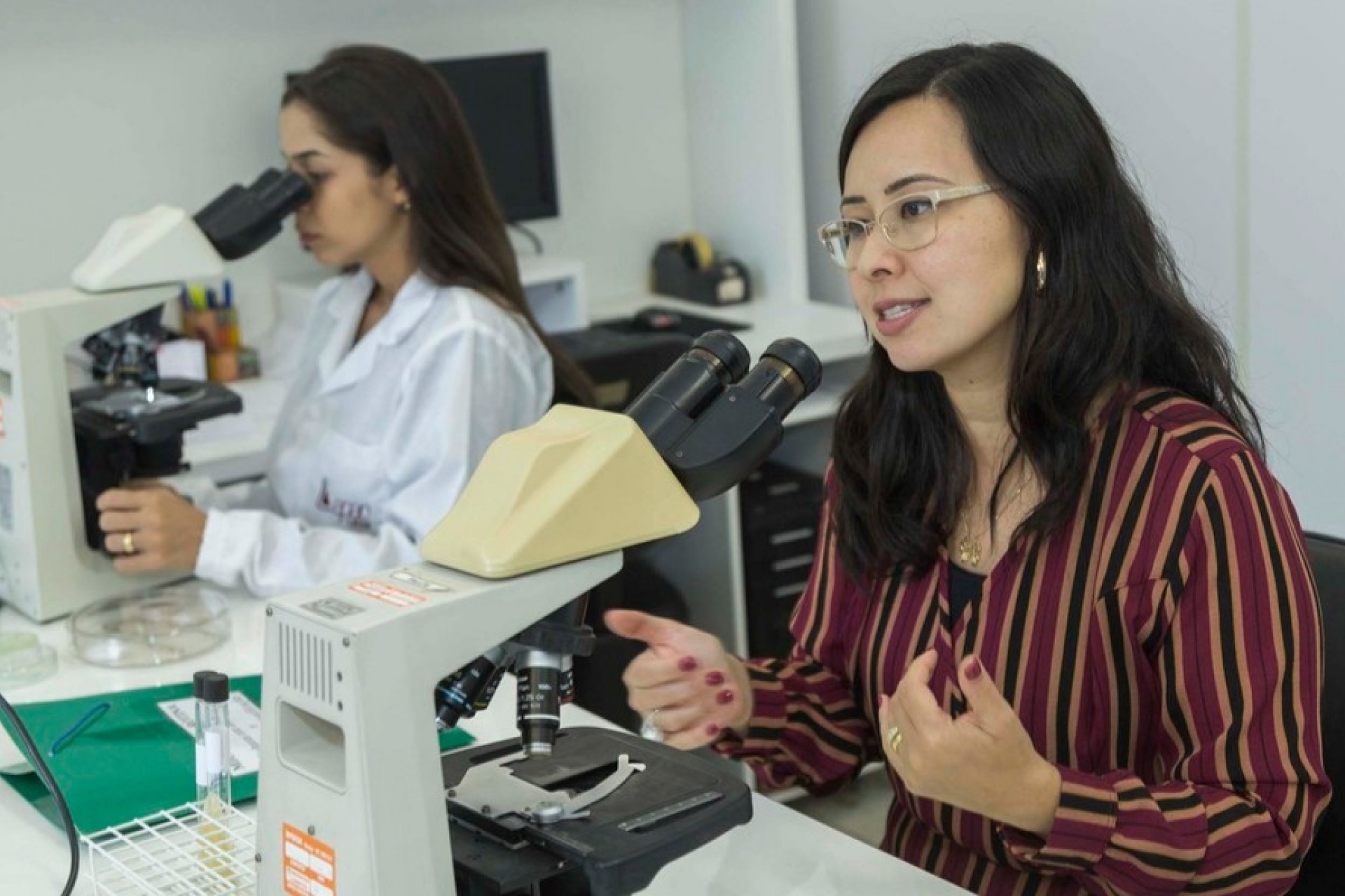 Universidade desenvolve teste rápido e seguro contra dengue