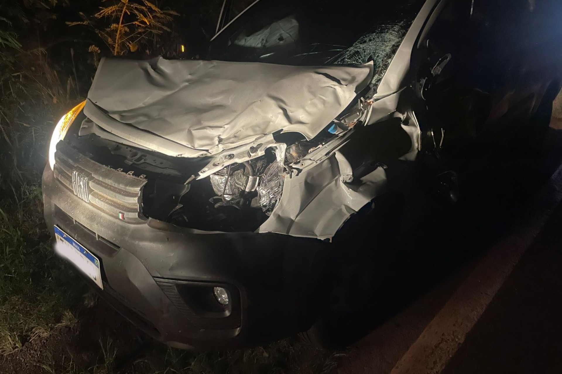 Veículo colide em vaca na PR 495 em Missal