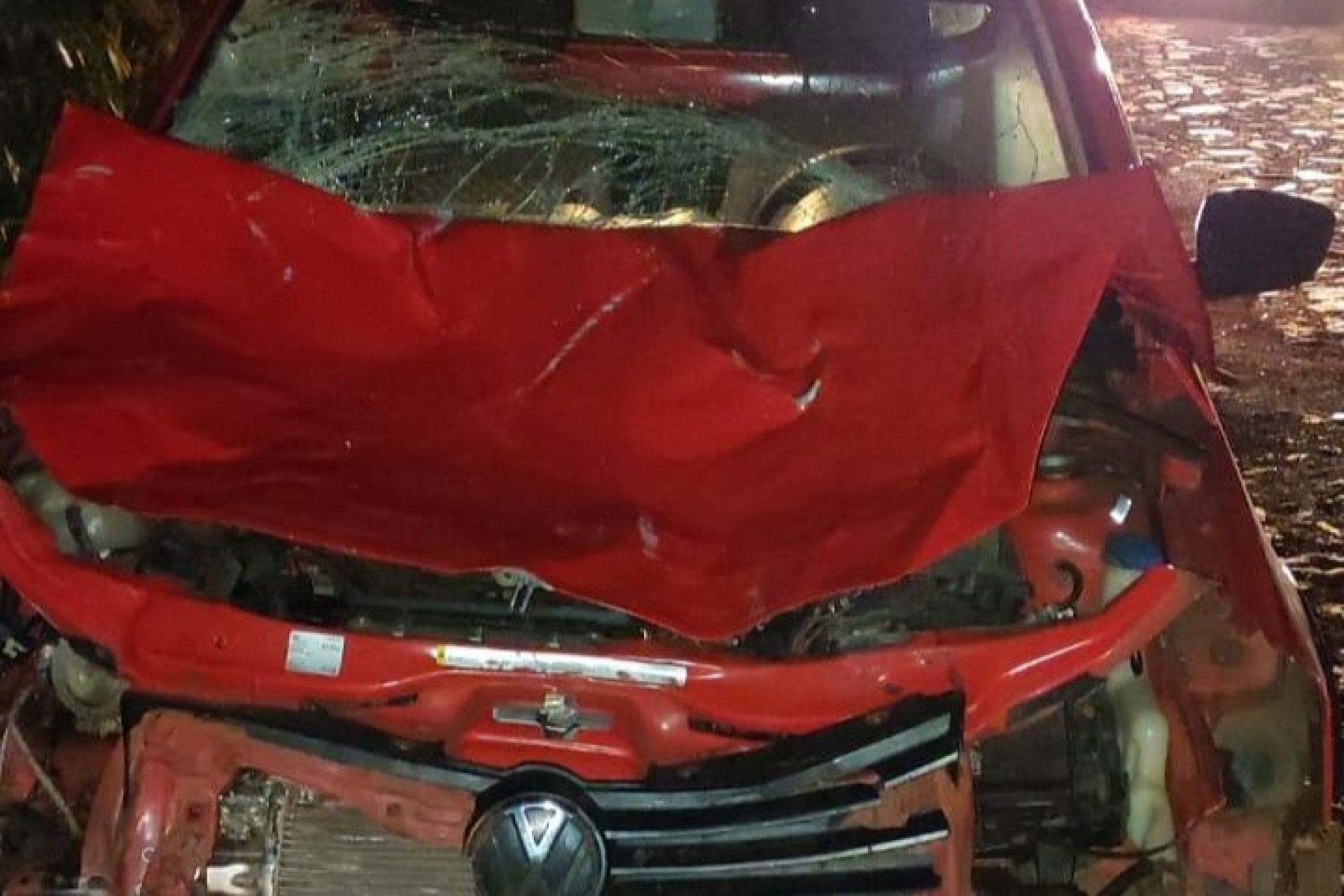 Veículo colide violentamente em boi na rodovia PR 317 em Santa Helena