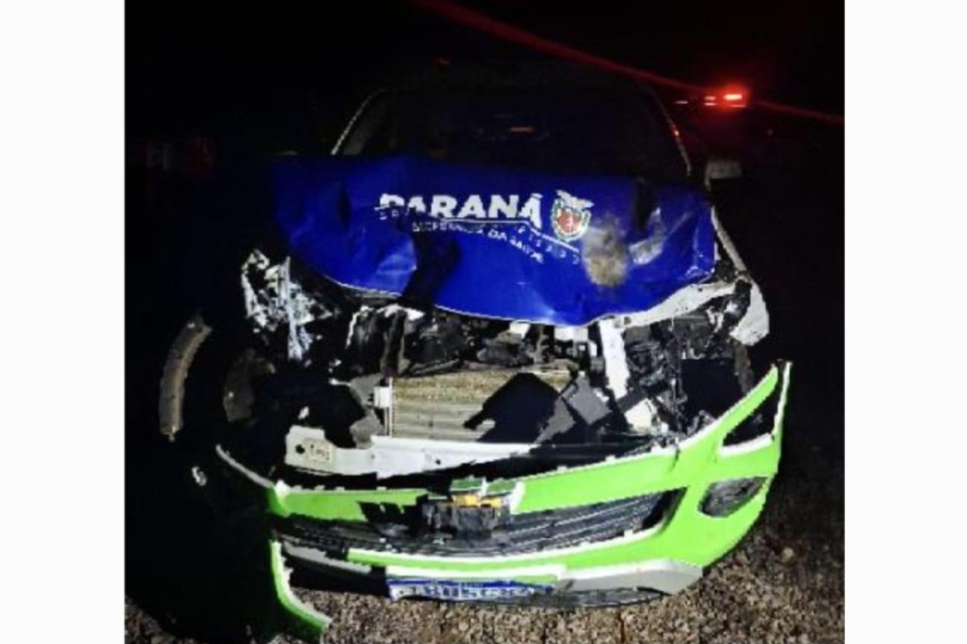 Veículo da prefeitura de Santa Helena colide em bois na PR 488