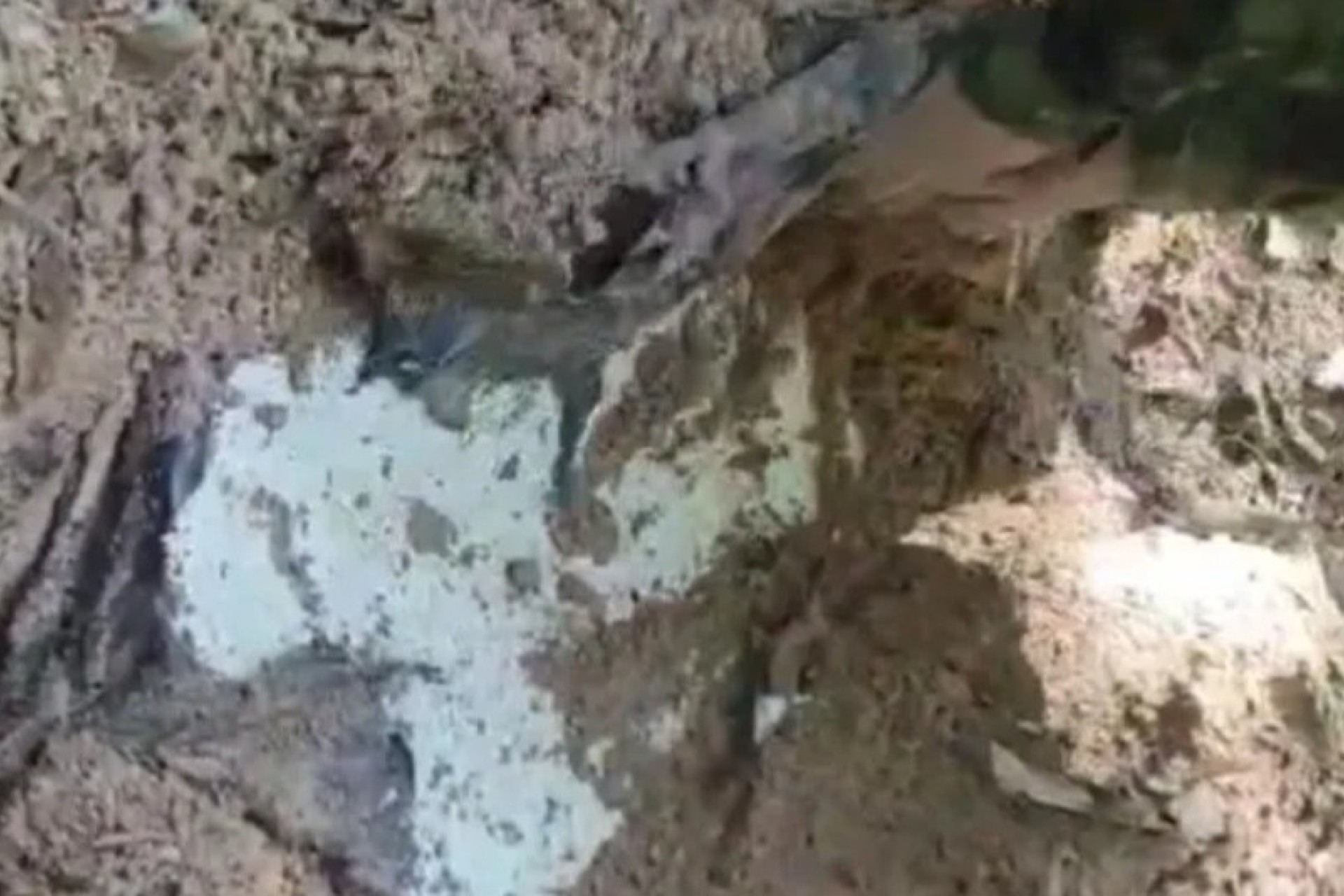Veículo desenterrado no Paraná pode conter corpos de desaparecidos