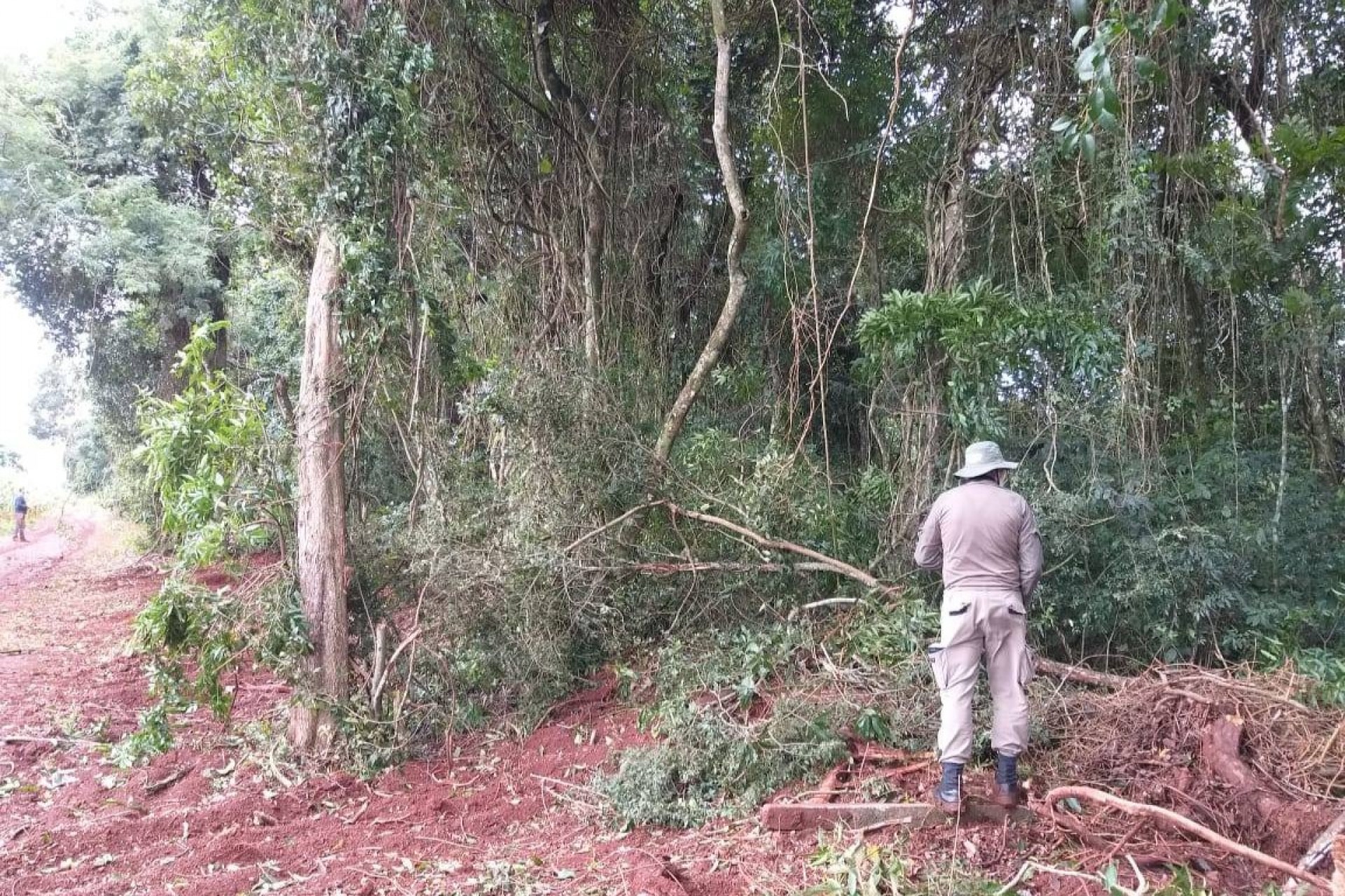 Vereador de Serranópolis do Iguaçu é preso por suspeita de crime ambiental