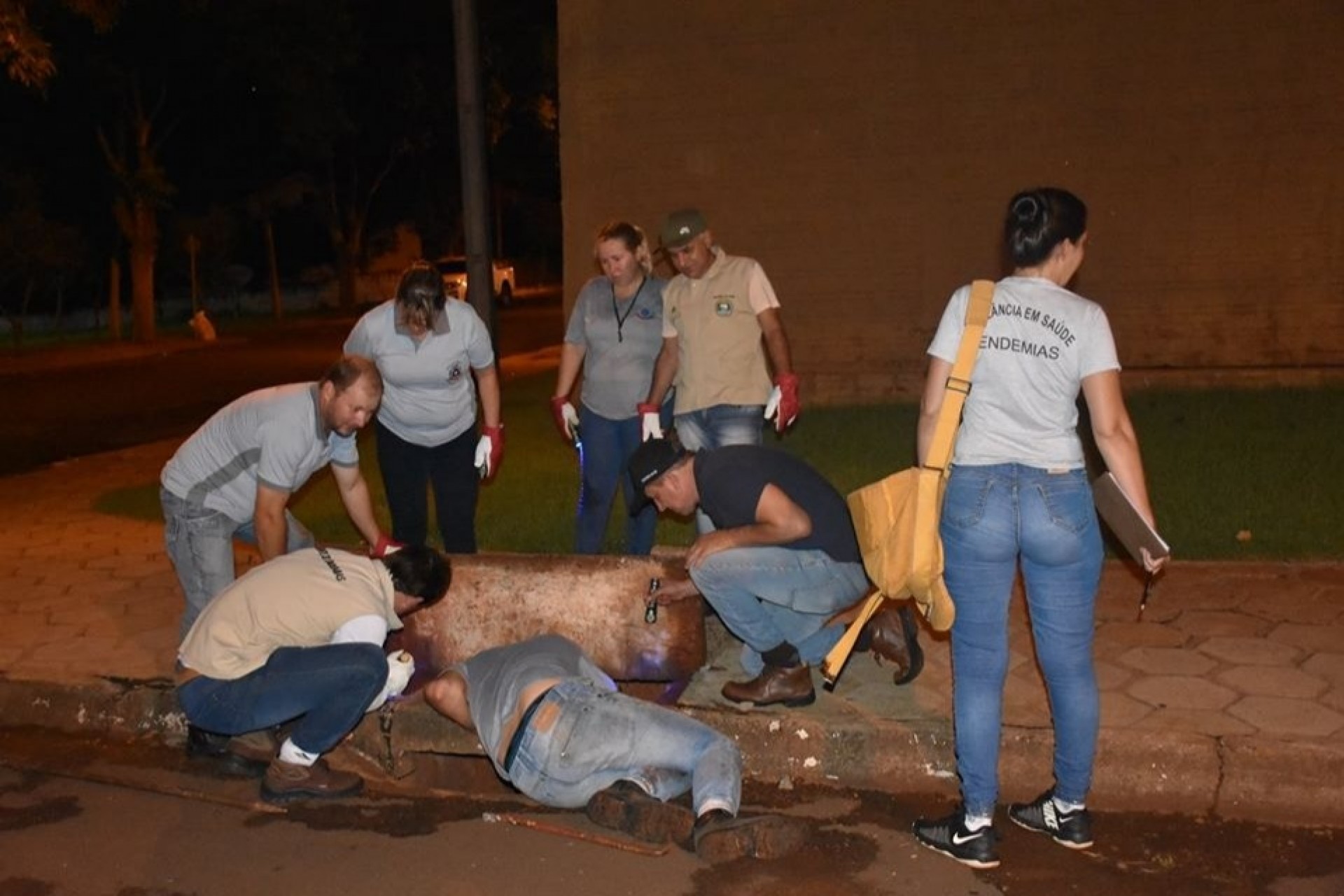 Vigilância captura 74 escorpiões em busca noturna