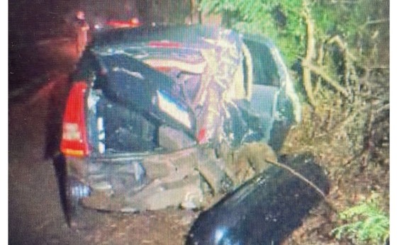 Acidente em Missal: Jovem Fica Ferido Após Colisão com Árvore