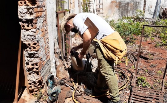 Agentes de Endemias de Missal realizam trabalho de conscientização no combate a dengue