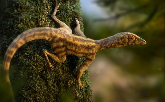 Animal pré-histórico descoberto em São João do Polêsine é capa da revista 'Nature'