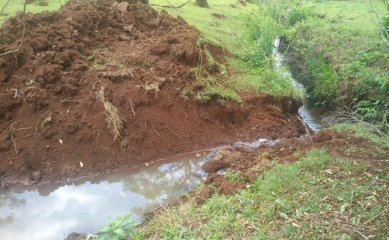 Após denúncia policias ambientais encontram desmatamento em área de preservação em São Miguel