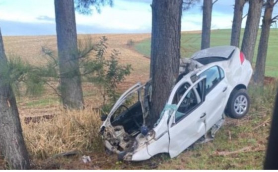 Árvore divide carro ao meio e motorista morre em gravíssimo acidente