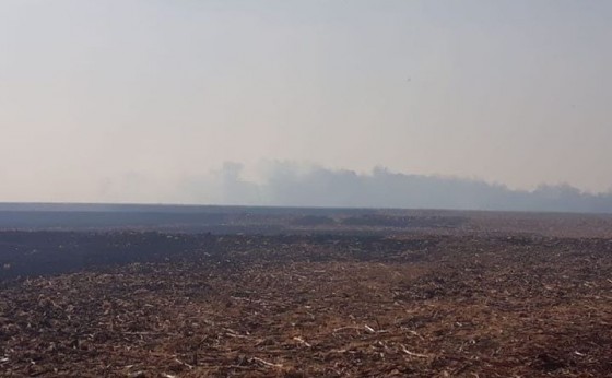 Bombeiros e agricultores combatem incêndio que atingiu lavoura e área de vegetação em Itaipulândia