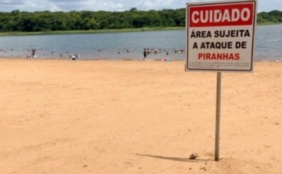 Bombeiros reforçam alertas sobre ataques de piranhas nas praias da Costa Oeste