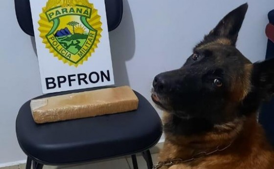 BPFron apreende casal transportando droga na PR 495