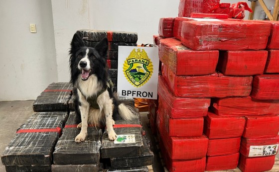 BPFRON apreende grande quantidade de maconha em Santa Helena/PR