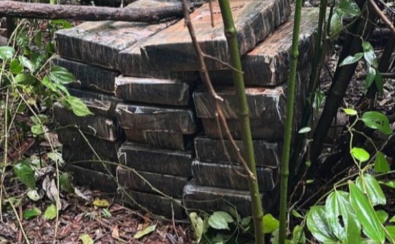 BPFRON apreende grande quantidade de maconha em Santa Helena