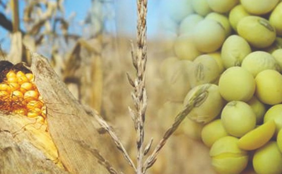 Brasil é o 3º maior exportador agrícola, mas clima ameaça futuro