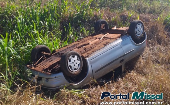 Cachorro na pista provoca capotamento na área Industrial de Missal