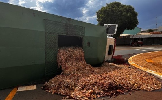 Caminhão carregado com vísceras de frango tomba no distrito de São Clemente, em Santa Helena