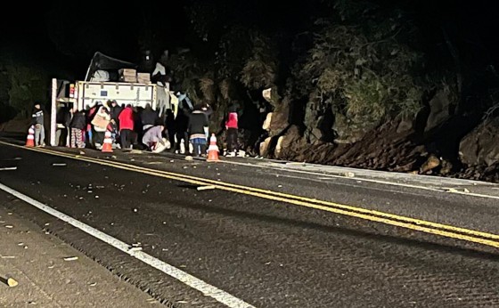 Caminhão com 27 toneladas de frango tomba na BR 277 e carga é saqueada