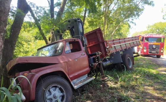 Caminhão sai da pista e colide em árvores as margens da PR 497