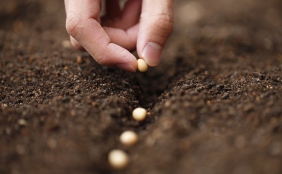 Cascavel sedia AGROPEC SUL e debate os “Novos Desafios na Proteção de Plantas”