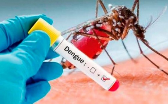 Casos de dengue aumentam em Missal e número de criadouros encontrados preocupa