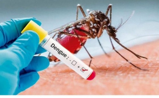 Casos de dengue em Missal chegam a 41 positivos