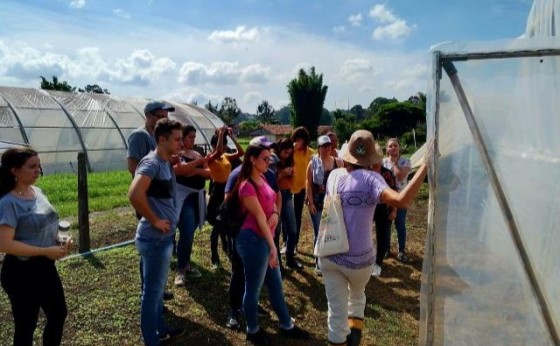 Centro Paranaense de Agroecologia tem contas de 2019 desaprovadas, com multa