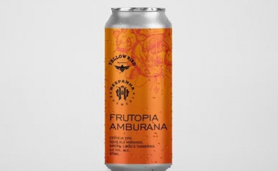 Cerveja paranaense é eleita a melhor do Brasil e reforça potencial da indústria local