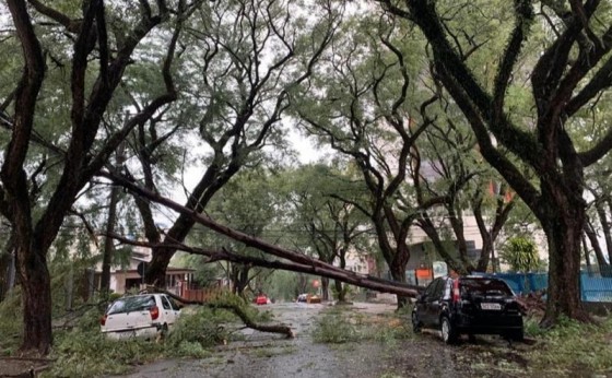 Ciclone no Sul: meteorologistas alertam para a possibilidade de novos temporais