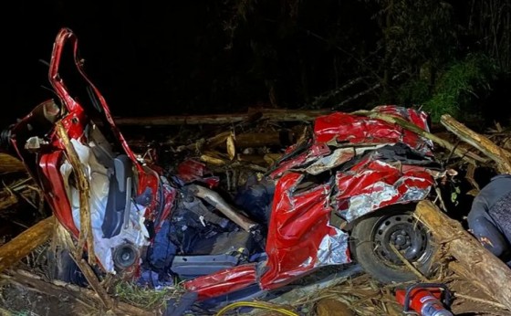 Cinco pessoas morrem após toras de eucalipto caírem de caminhão sobre carros